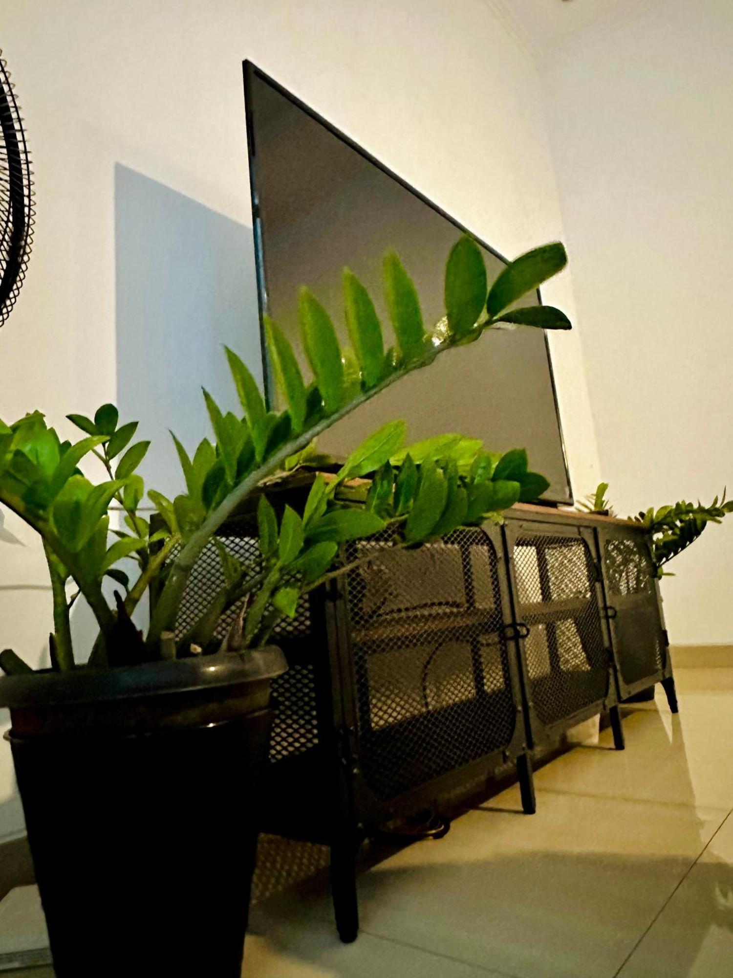 4-Bedroom Home In South Jakarta Nuansa Swadarma Residence By Le Ciel Hospitality 외부 사진